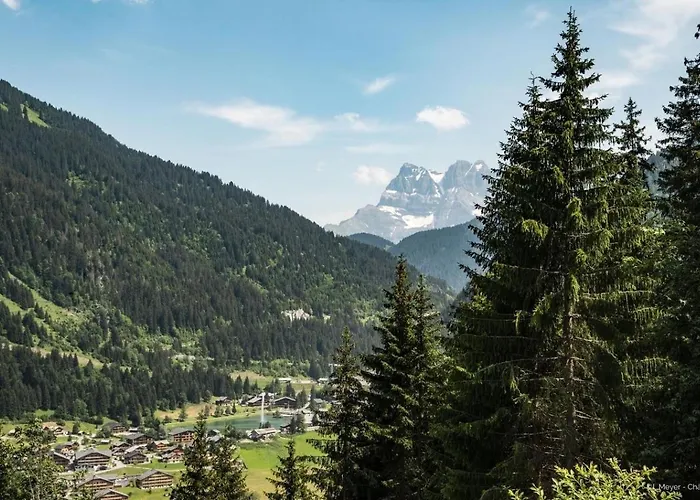 Azalee Az4 Telecabine & Mountain 4 Pers * Châtel