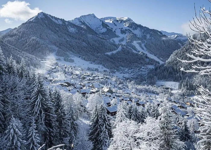 Apartment Azalee Az4 Telecabine & Mountain 4 Pers *